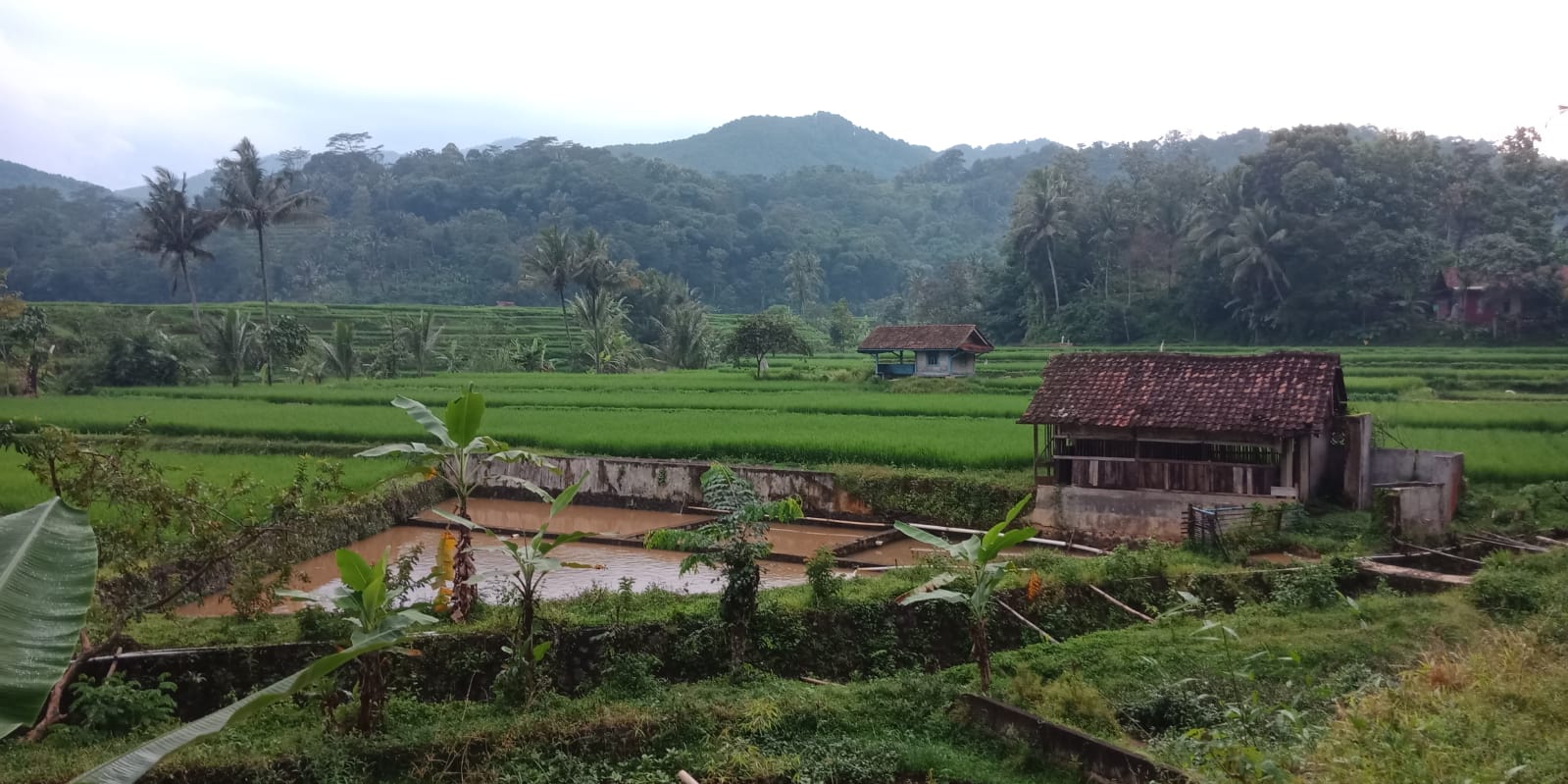 Cerita Rakyat Situraja