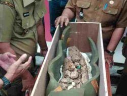 Ratusan Fosil Purbakala Hasil Temuan di Desa Jembarwangi Sumedang Segera Dikonservasi