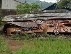 Hujan Deras dan Angin Kencang, Puluhan Pohon Tumbang dan Saung Ambruk