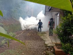 Musim Hujan Wabah DBD Ancam Warga, Berikut Penanggulangannya