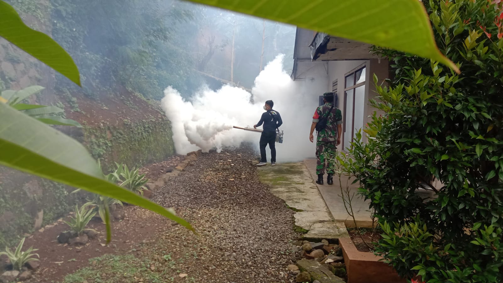 FOGGING