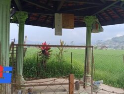 Keraton Kutamaya Hilang, Kini Jadi Sawah di Padasuka: Jejak Bangsa yang Tersapu Waktu