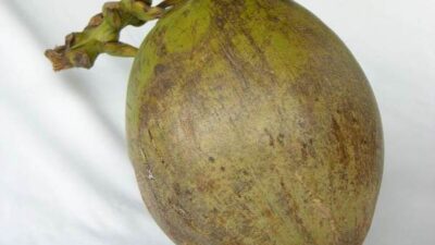 Cerita warga Sumedang yang Bikin Merinding, Dikira Buah Kelapa Padahal Hantu Kepala Buntung