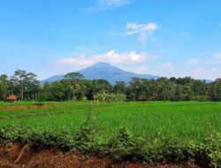 Menyeramkan! Begini Kisah Horor Pendaki di Gunung Tampomas Sumedang