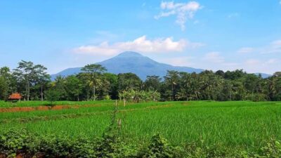 Menyeramkan! Begini Kisah Horor Pendaki di Gunung Tampomas Sumedang