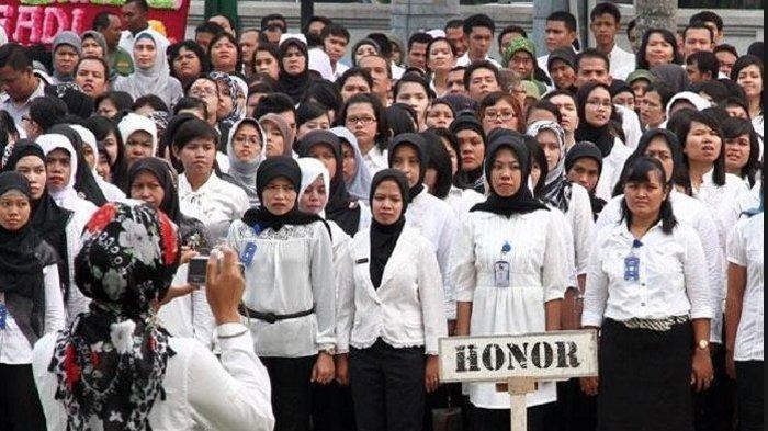 tenaga honorer