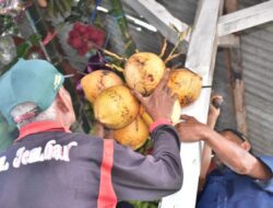 Mitologi Dewi Sri Sang Dewi Padi, Masih Dipercaya di Indonesia Termasuk Tomo Sumedang