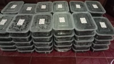 Nikmatnya Tape Ketan Hitam Putih ‘Yahai’ Situraja Sumedang