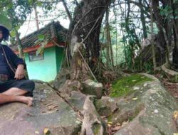 Ternyata, Ada ‘Harta Karun’ Dibalik Angkernya Pohon Beringin Besar di Sumedang Ini