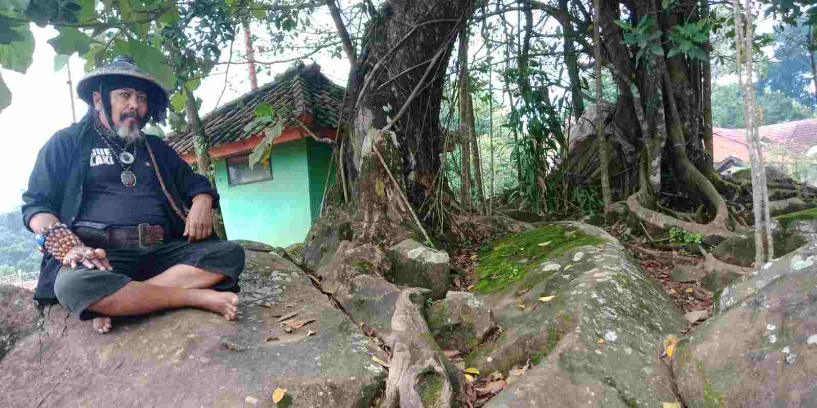 Harta Karun Pohon Beringin