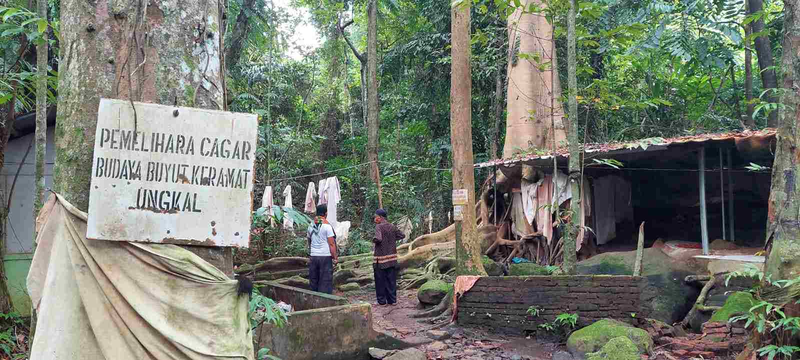 Petilsan Dayang Sumbi