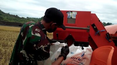 Lahan Eks Galian C di Sumedang Ini Disulap Jadi Lahan Pertanian
