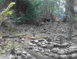 Cerita Penebangan Kayu Terpental Saat Akan Menebang Pohon Jati di Makam Keramat Sumedang