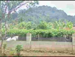 Ini Alasan Kenapa Tak Boleh Menabuh Bedug di Gunung Cibedug Cibugel Sumedang