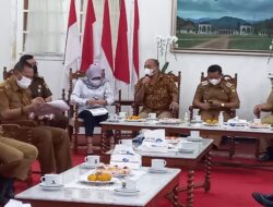 Irwansyah Imbau Optimalkan Check-In PeduliLindungi di Berbagai Tempat