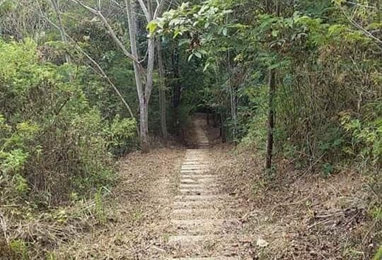 Jalur pendakian Gunung Geulis Cimanggung Sumedang