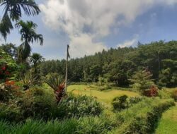Bosen Hiruk Pikuk Perkotaan? Mari Ngadem di Wisata Alam Pangjugjugan Sumedang