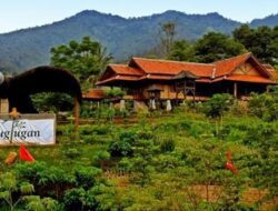 PPKM Level 3, Sektor Pariwisata Tambah Kelabakan Pengunjung Sepi