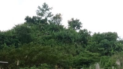 Bukit Putri jatigede