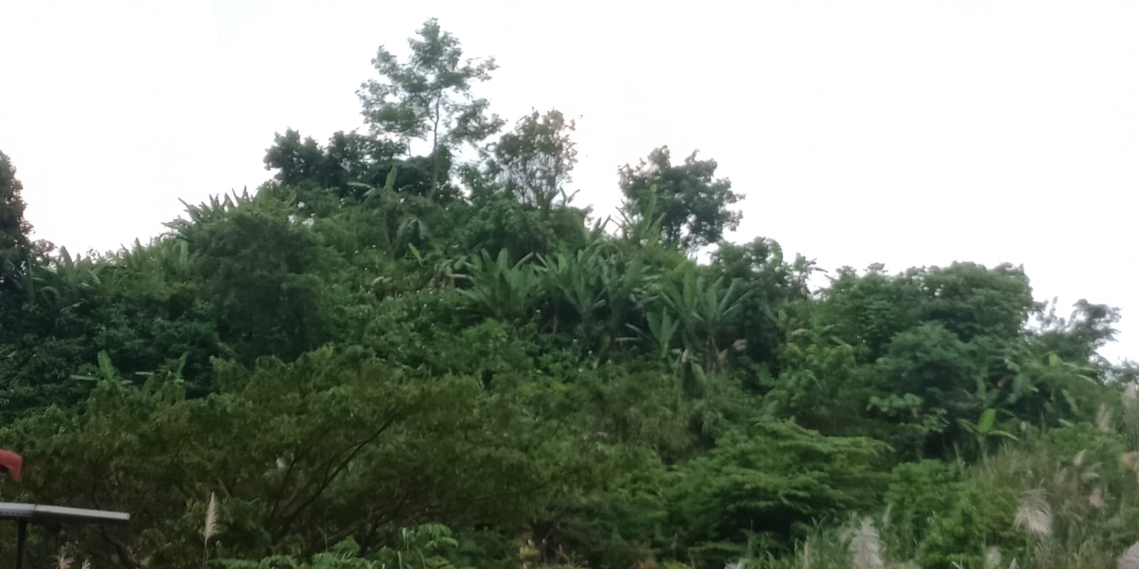 Bukit Putri jatigede