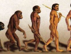Asal Usul Manusia Diciptakan, Antara Teori Darwin dan Nabi Adam AS