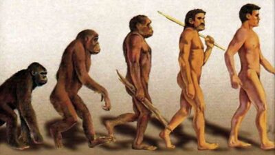 Asal Usul Manusia Diciptakan, Antara Teori Darwin dan Nabi Adam AS