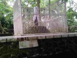 Kisah Patih Kerajaan Sumedang Larang yang Sakti dan Setia, Namun Menghilang Karena Kecewa