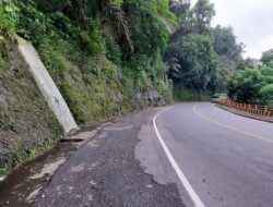 Ular Kuning di Mitos Jalan Cadas Pangeran Sumedang Berasal dari Keris Naga Sastra? Begini Ceritanya