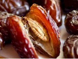 Subhanalloh! Jangan Buang Biji Kurma, Ini Khasiatnya untuk Warga Sumedang Cocok Sajian Buka Puasa