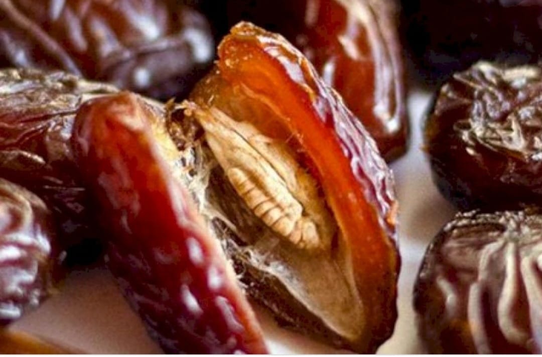 khasiat biji kurma