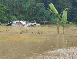 Banjir Rendam Hektaran Sawah di Desa Sukasirnarasa Rancakalong Sumedang
