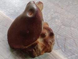 Berbentuk Mirip Ati Ayam, Batu  Milik Warga Sumedang Ini Ternyata Banyak Diburu