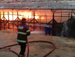 Kandang Ayam di Sumedang Terbakar, Belasan Ribu Ayam Terpanggang, Kerugian Ditaksir 1,5 Miliar