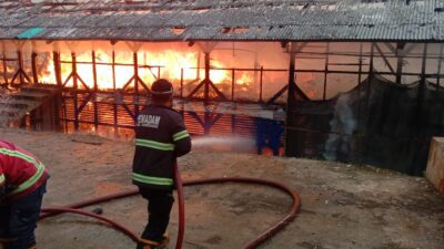 Kandang ayam terbakar
