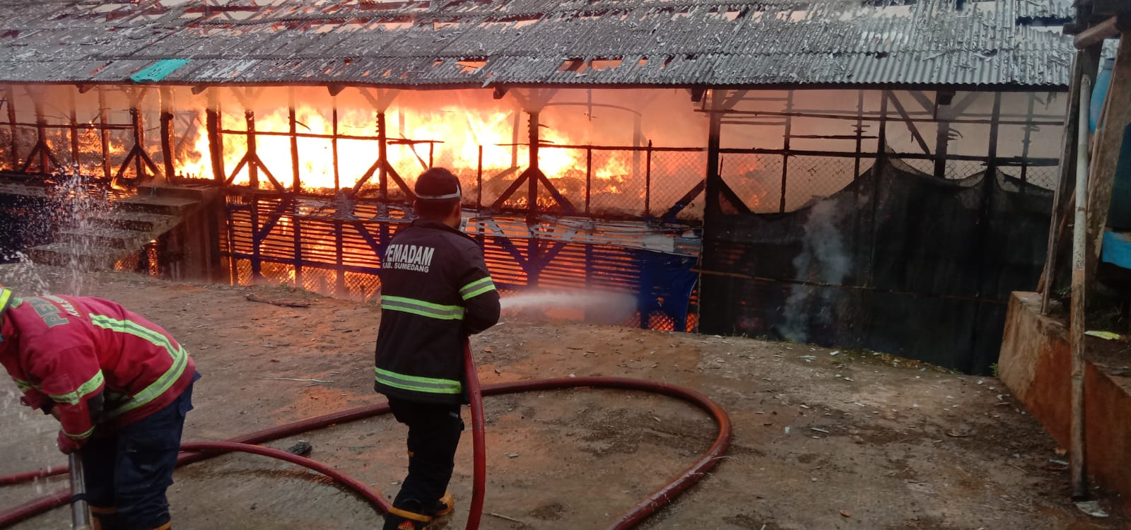 Kandang ayam terbakar