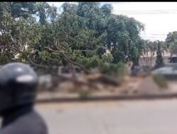 Mobil Pickup Oleng Tabrak Pembatas Jalan di Jalan Bandung-Garut, Dua Orang Tewas