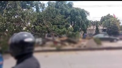 Mobil Pickup Oleng Tabrak Pembatas Jalan di Jalan Bandung-Garut, Dua Orang Tewas