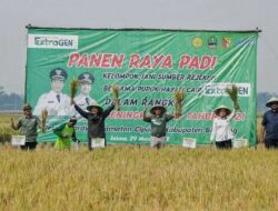 Gelar Panen Raya, Pemkab Bandung Optimis Sektor Pertanian Terus Berkembang