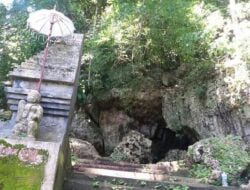 Misteri Hutan Tertua di Pulau Jawa yang Terkenal Angker