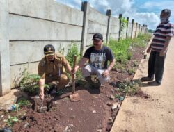 Antisipasi Banjir, Pemdes Cibeusi Tanam Pohon di Pinggir Jalan Tol Cisumdawu Sumedang