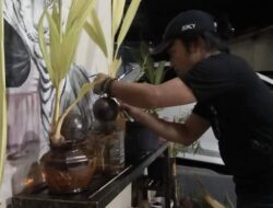 Isi Ngabuburit dengan Menata Pohon Kelapa jadi Barang Bernilai Tinggi