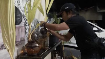 bonsai kelapa