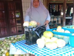 Penjual Timun Suri Musiman di Sumedang Keluhkan Sepinya Pembeli