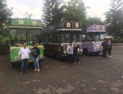 Bus Tampomas, Angkutan Wisata Kebanjiran Older Hingga Tak Terlayani