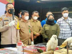 BKSDA Ikut Soroti Kasus Perdagangan Satwa Dilindungi di Bandung