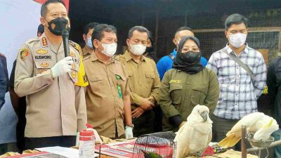 BKSDA Ikut Soroti Kasus Perdagangan Satwa Dilindungi di Bandung