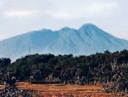 5 Hutan Dikenal Paling Angker di Pulau Jawa, No 4 Tempat Jatuhnya Enam Pesawat Terbang