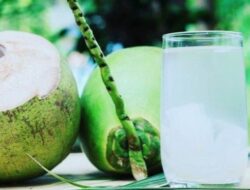 Selain Menyegarkan, Ini Manfaat Meminum Air Kelapa Secara Teratur
