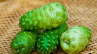 Manfaat Buah Mengkudu, Si Buruk Rupa Asli Indonesia yang Bisa Bantu Sembuhkan Darah Tinggi Hingga Stres