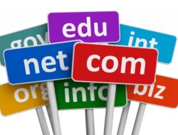 Simak, ini Perbedaan Hosting dan Domain untuk Website!!